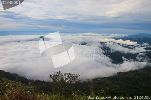 Image of sea of fog with forests as foreground