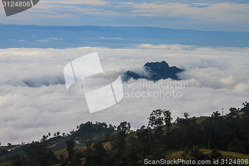 Image of sea of fog with forests as foreground