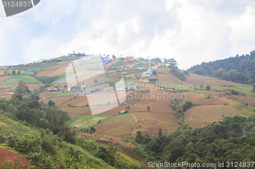 Image of fields in the mountains