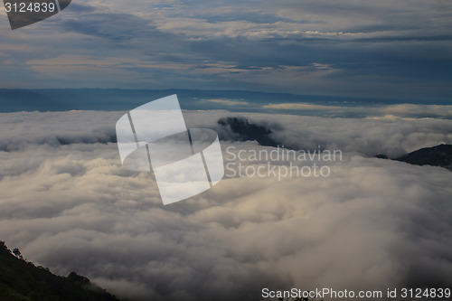 Image of sea of fog with forests as foreground