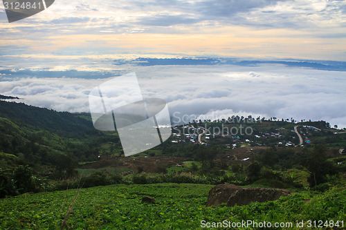 Image of sea of fog with forests as foreground