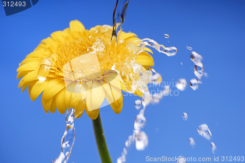 Image of Beautiful splash