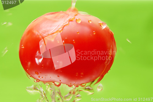 Image of Tomato