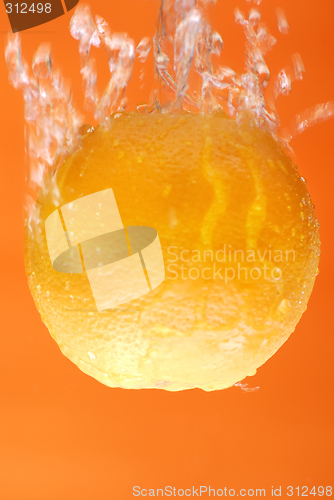 Image of Orange