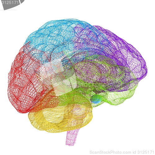 Image of Creative concept of the human brain