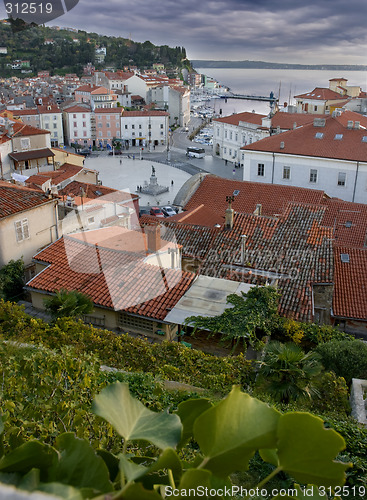 Image of piran