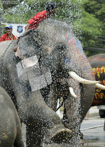 Image of ASIA THAILAND AYUTTHAYA SONGKRAN FESTIVAL