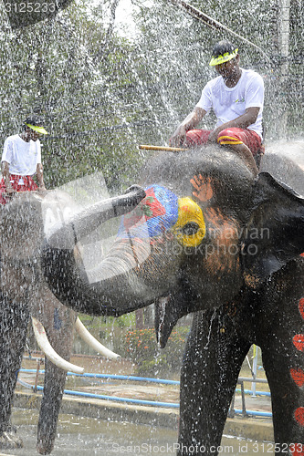 Image of ASIA THAILAND AYUTTHAYA SONGKRAN FESTIVAL