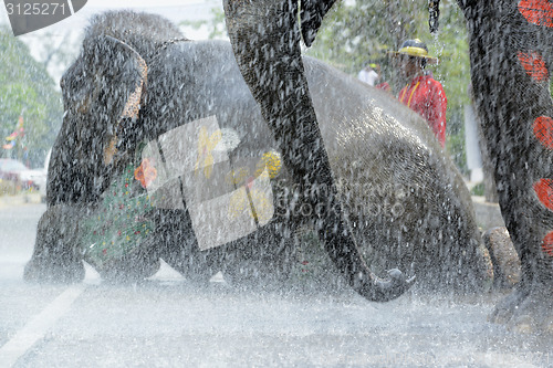 Image of ASIA THAILAND AYUTTHAYA SONGKRAN FESTIVAL