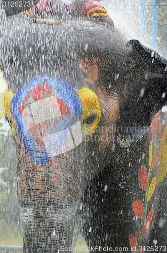 Image of ASIA THAILAND AYUTTHAYA SONGKRAN FESTIVAL