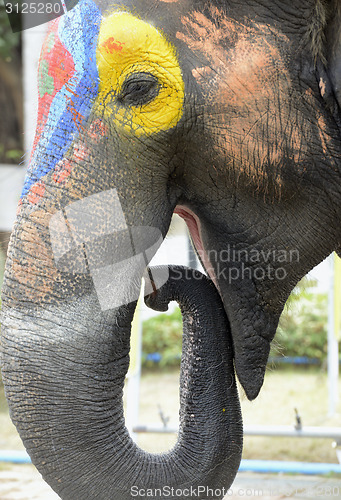 Image of ASIA THAILAND AYUTTHAYA SONGKRAN FESTIVAL