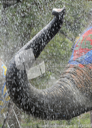 Image of ASIA THAILAND AYUTTHAYA SONGKRAN FESTIVAL