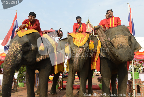 Image of ASIA THAILAND AYUTTHAYA SONGKRAN FESTIVAL