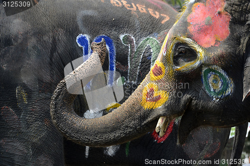 Image of ASIA THAILAND AYUTTHAYA SONGKRAN FESTIVAL