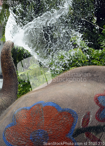 Image of ASIA THAILAND AYUTTHAYA SONGKRAN FESTIVAL