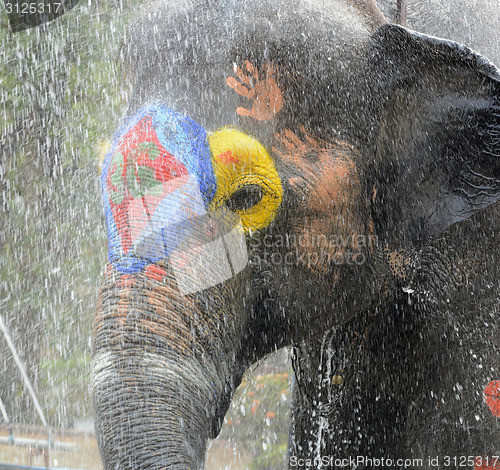 Image of ASIA THAILAND AYUTTHAYA SONGKRAN FESTIVAL