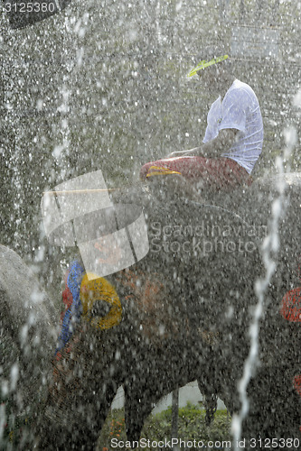 Image of ASIA THAILAND AYUTTHAYA SONGKRAN FESTIVAL