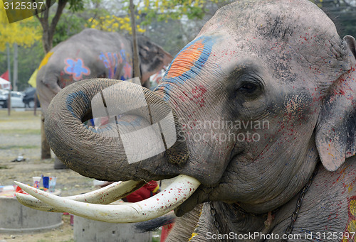 Image of ASIA THAILAND AYUTTHAYA SONGKRAN FESTIVAL