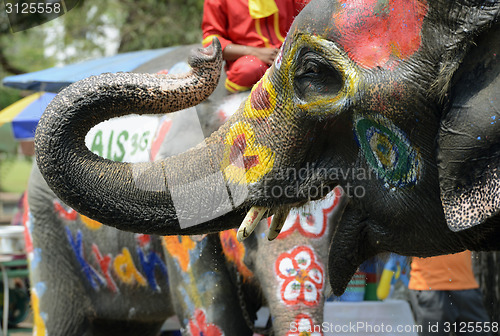 Image of ASIA THAILAND AYUTTHAYA SONGKRAN FESTIVAL