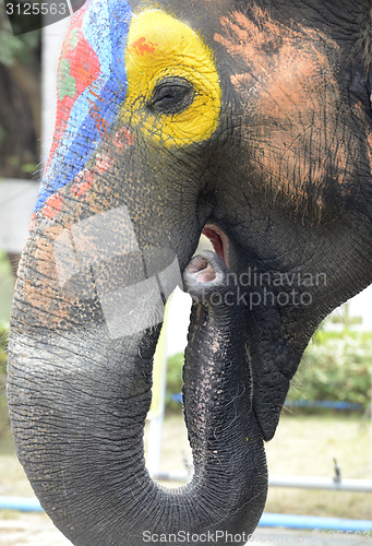 Image of ASIA THAILAND AYUTTHAYA SONGKRAN FESTIVAL