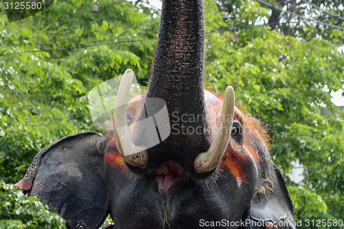 Image of ASIA THAILAND AYUTTHAYA SONGKRAN FESTIVAL