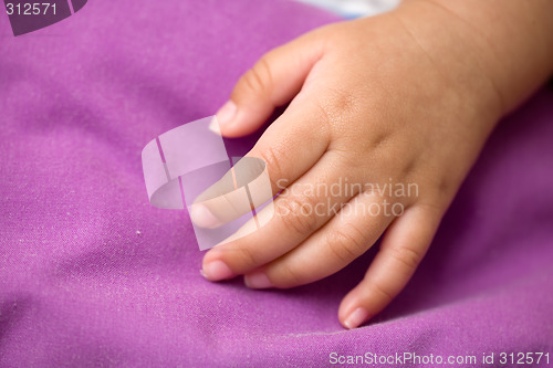 Image of Tiny hand