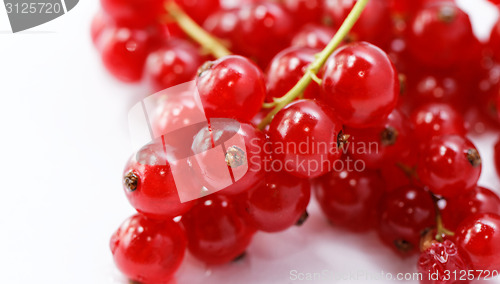 Image of Red currant