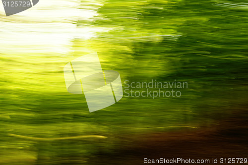 Image of Blurred trees background