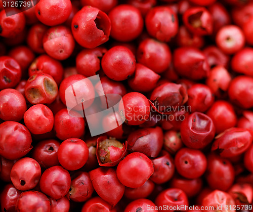 Image of Pink Pepper