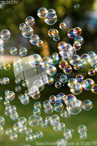 Image of Soap bubbles