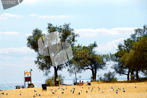 Image of Beach scene