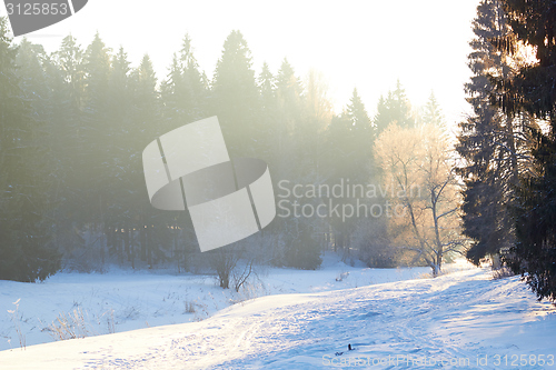 Image of sunrays over fog on river in winter forest
