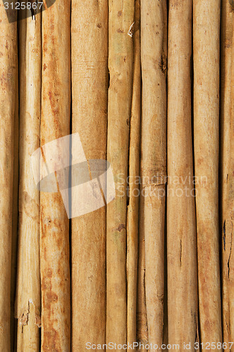 Image of Cinnamon sticks