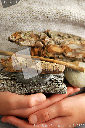 Image of Beach treasures