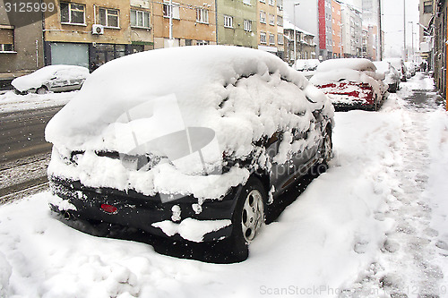 Image of Parked Cars covered with snow