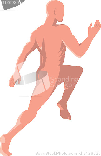 Image of Male Human Anatomy Running