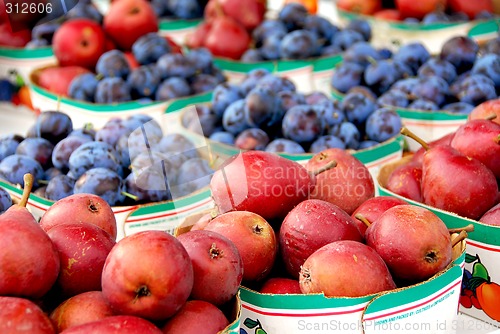 Image of Fruits for sale