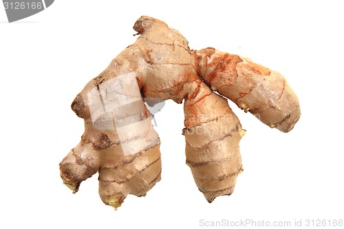 Image of fresh ginger root isolated 