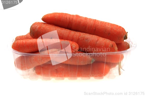 Image of fresh carrot 