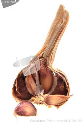 Image of garlic head 