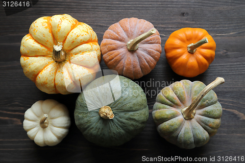 Image of Squash and pumpkins