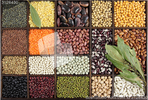 Image of Beans, peas, lentils.