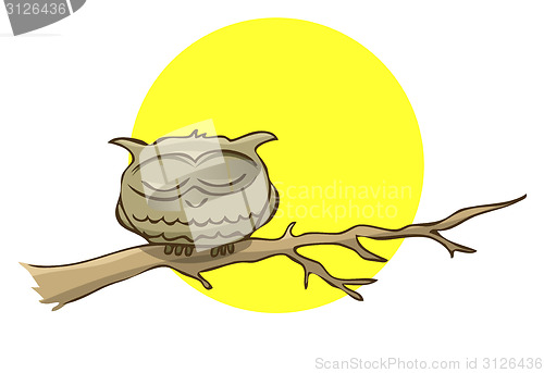 Image of Sleeping owl sitting on a branch on a background of the full moo