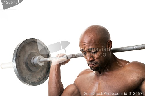 Image of Muscle Man Holding Barbell