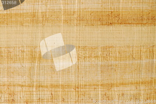 Image of Papyrus