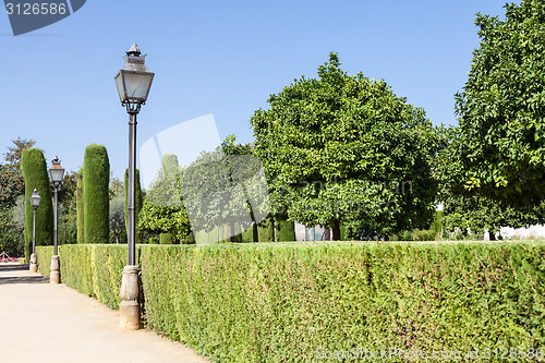 Image of Italian Garden