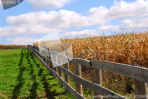 Image of Rural landscape