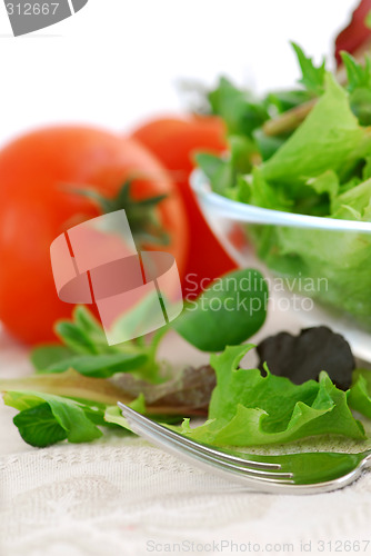 Image of Baby greens and tomatoes