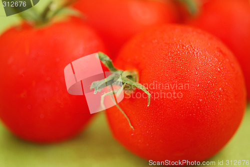 Image of Tomatoes