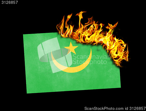 Image of Flag burning - Mauritania